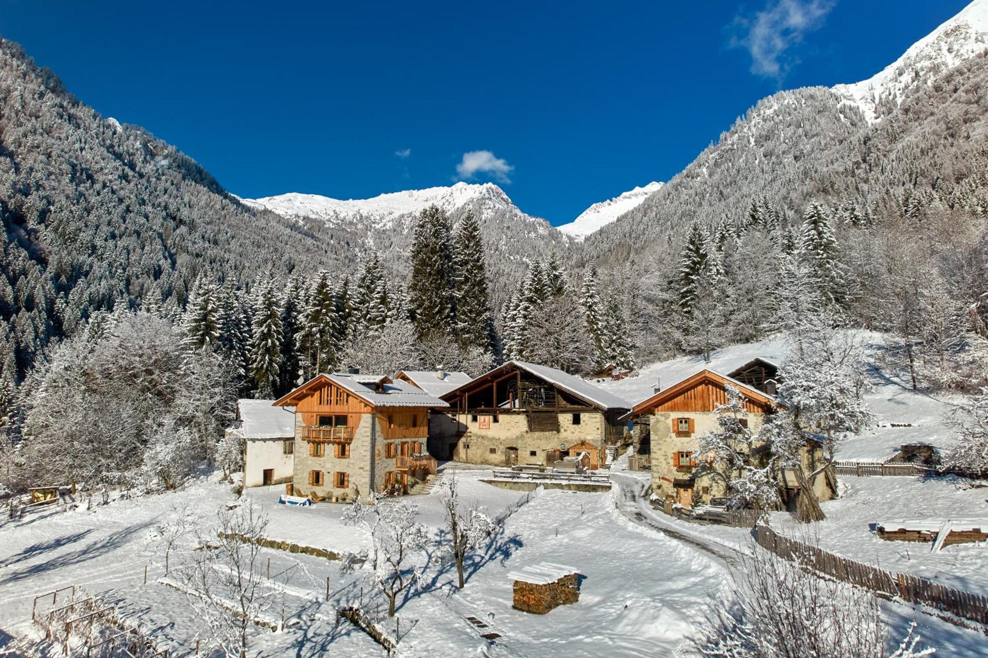 Pimont Alpine Chalet Мадонна-ди-Кампильо Экстерьер фото